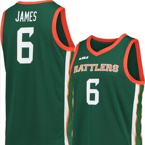 Men's Nike x LeBron James Green Florida A&M Rattlers Basketball Jersey